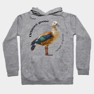 Orinoco goose tropical bird pin black text Hoodie